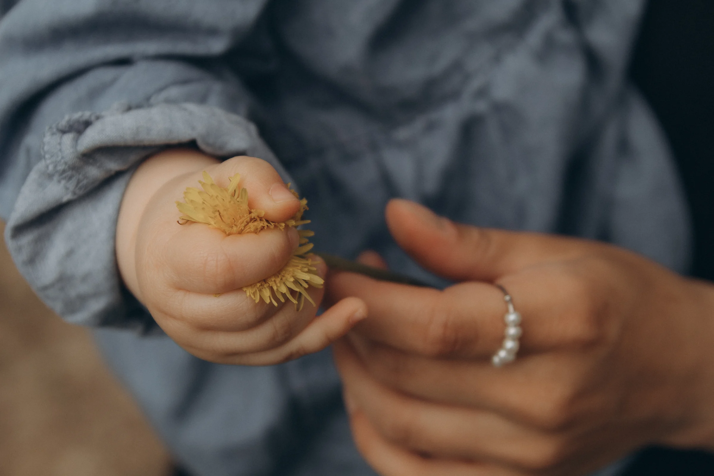 Kinderhand hält eine Blüte, daneben die Hand der Mutter