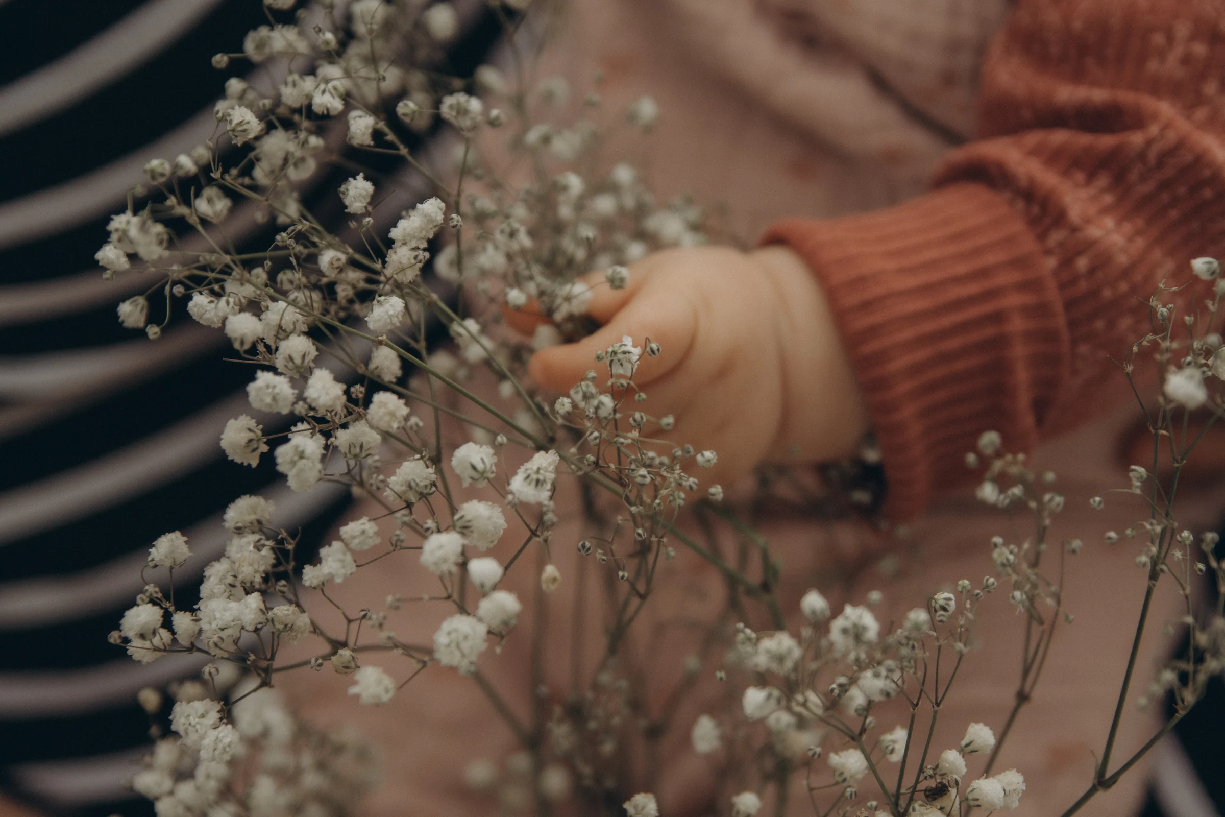 Kinderhand greift nach Schleierkraut